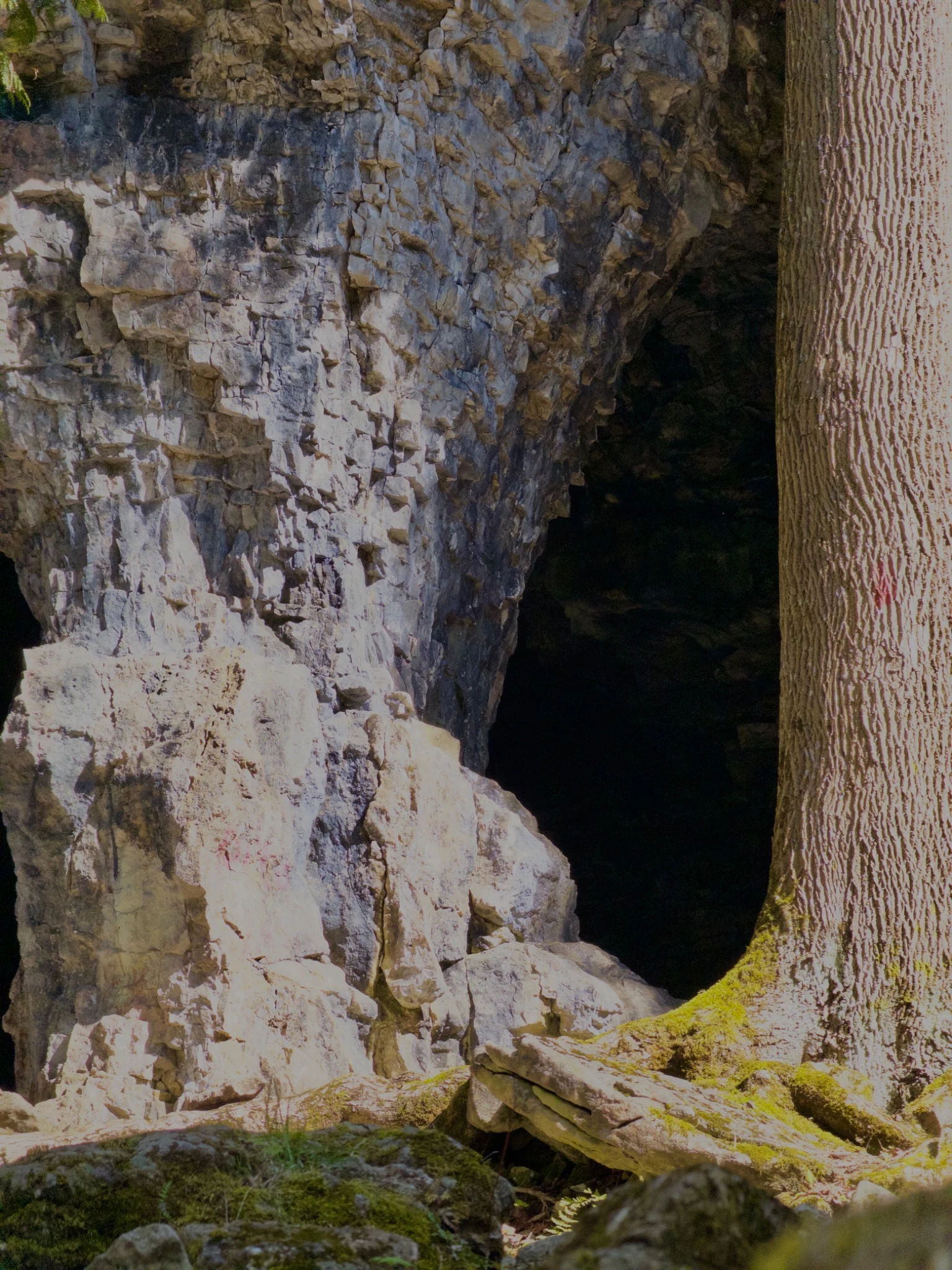 Limestone cave formation at Bruce’s Caves