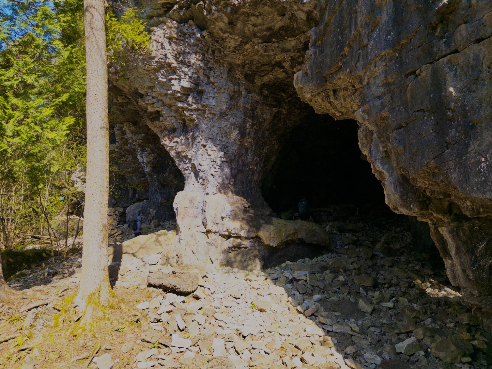 Wide cave entrance at Bruce’s Caves